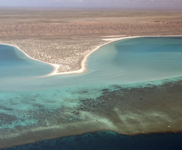 Tony Howard/Western Australian Department of Environment and Conservation